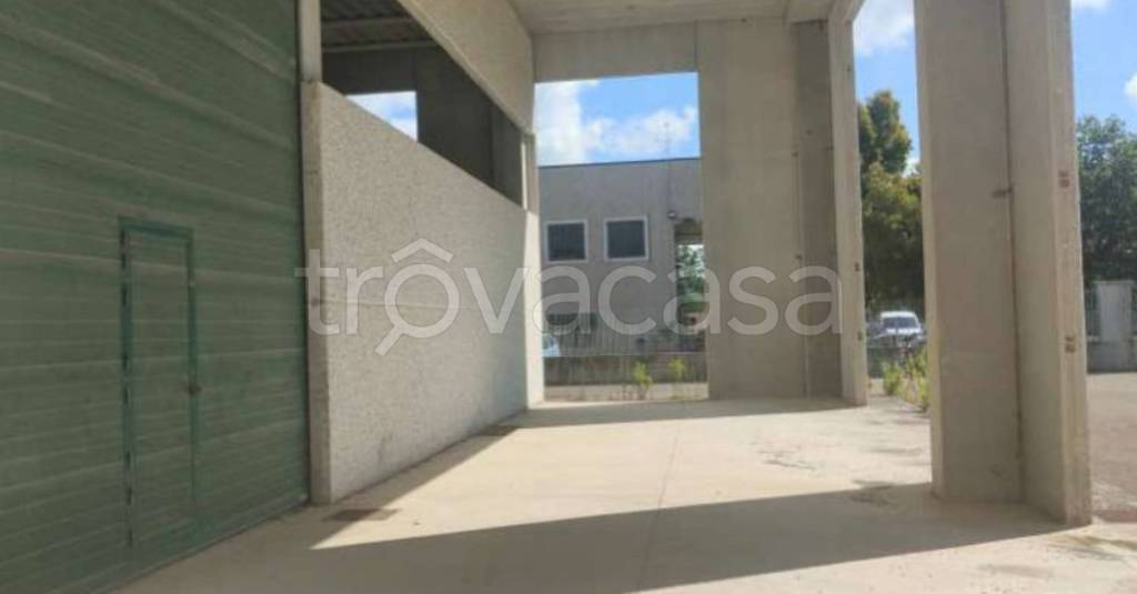 immagine annuncio 3 di 13