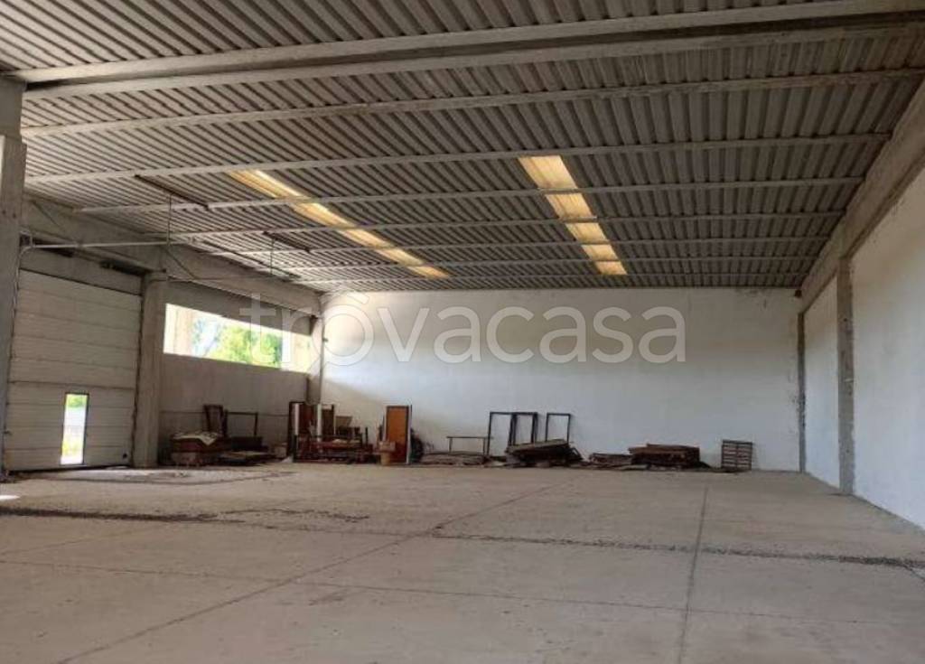 immagine annuncio 5 di 13