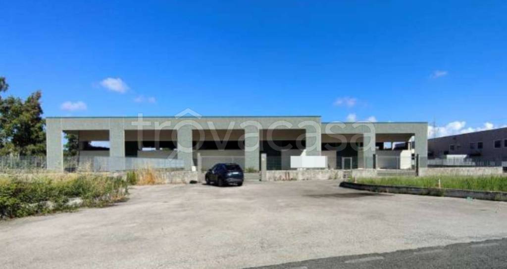 immagine annuncio 7 di 13