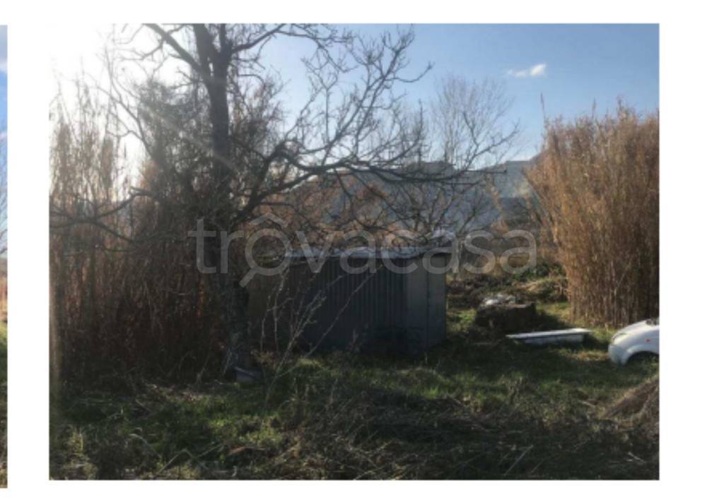 immagine annuncio 5 di 14