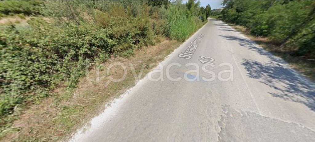 immagine annuncio 10 di 14