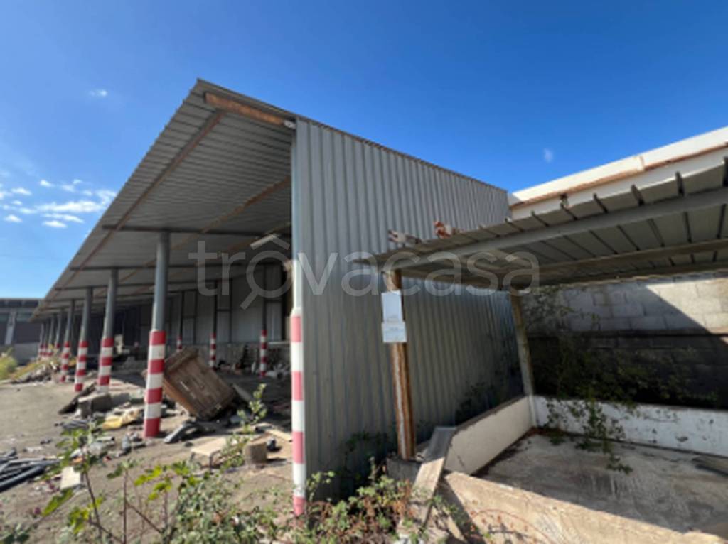 immagine annuncio 2 di 12