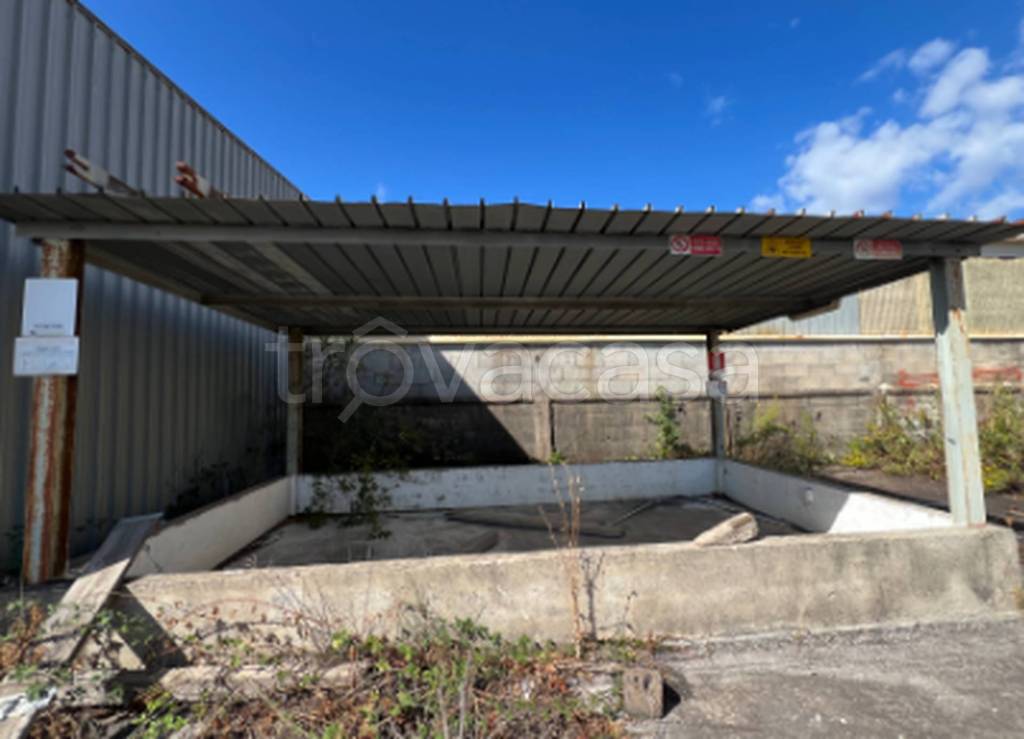 immagine annuncio 3 di 12