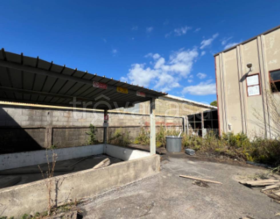 immagine annuncio 4 di 12