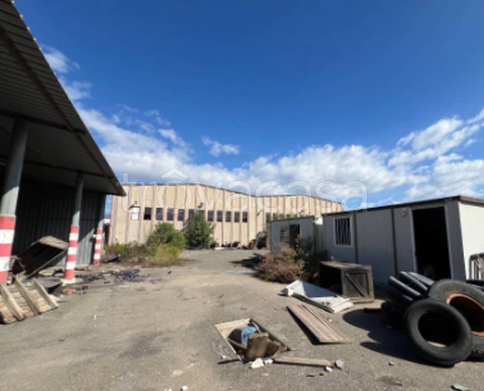 immagine annuncio 6 di 12