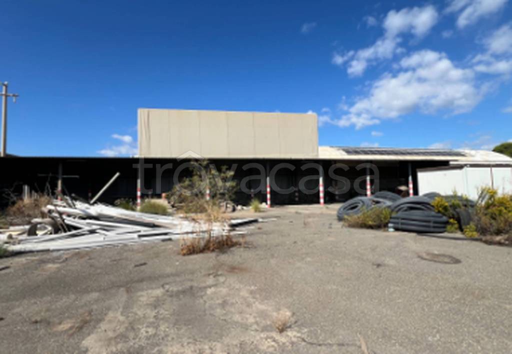 immagine annuncio 7 di 12