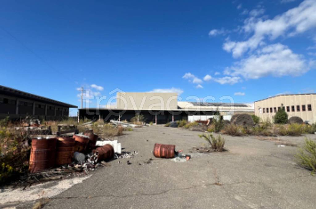 immagine annuncio 11 di 12