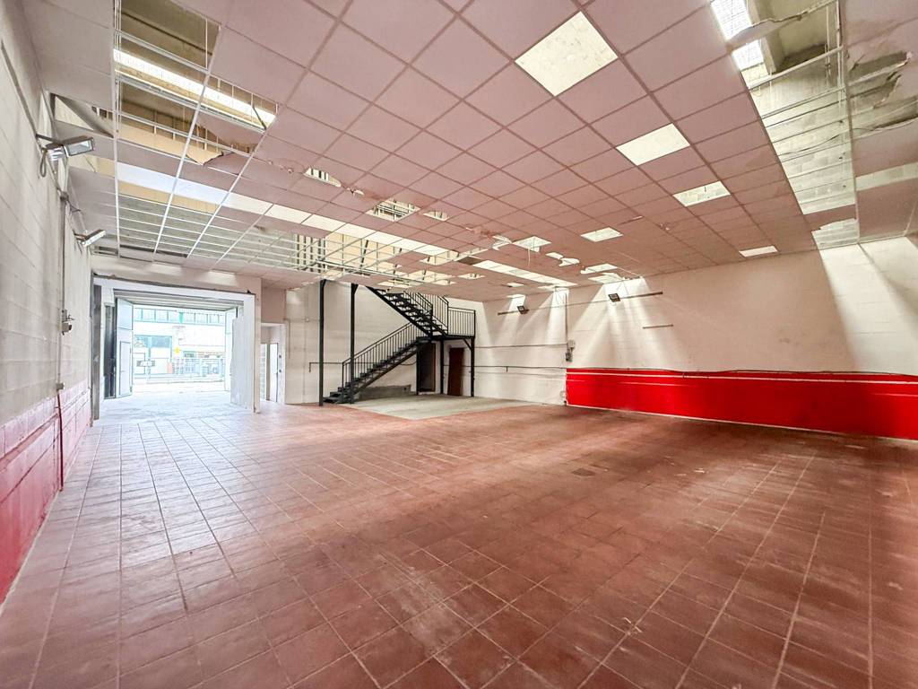 immagine annuncio 9 di 15