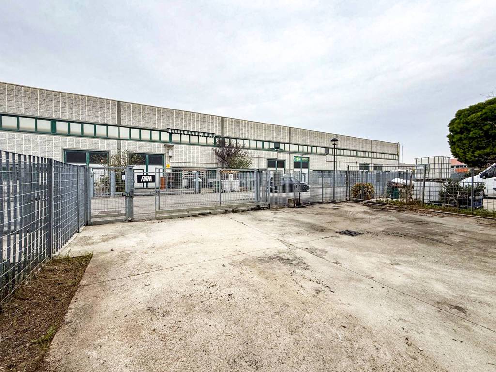 immagine annuncio 7 di 15