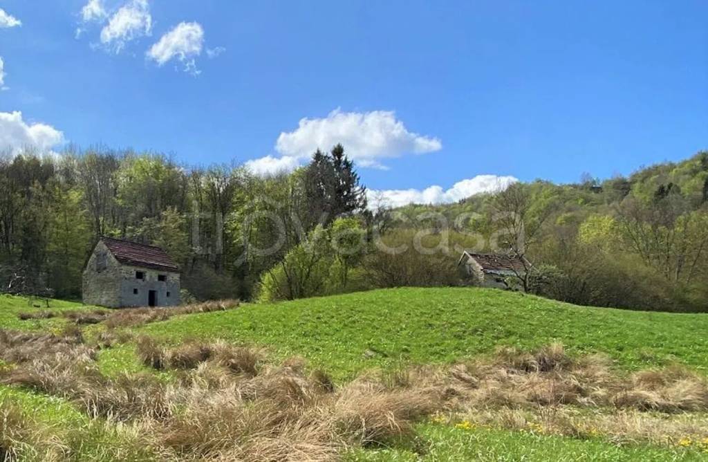 immagine annuncio 8 di 13