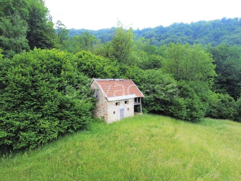 immagine annuncio 9 di 13