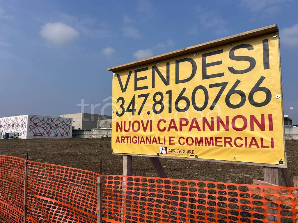 immagine annuncio 5 di 12