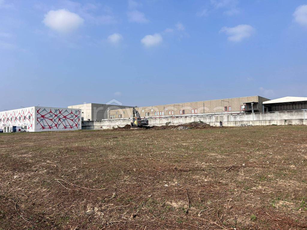 immagine annuncio 6 di 12