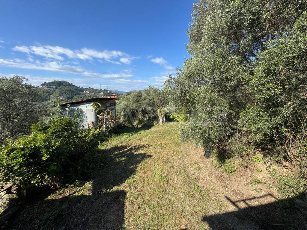 immagine annuncio 3 di 12