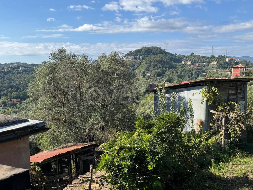 immagine annuncio 4 di 12