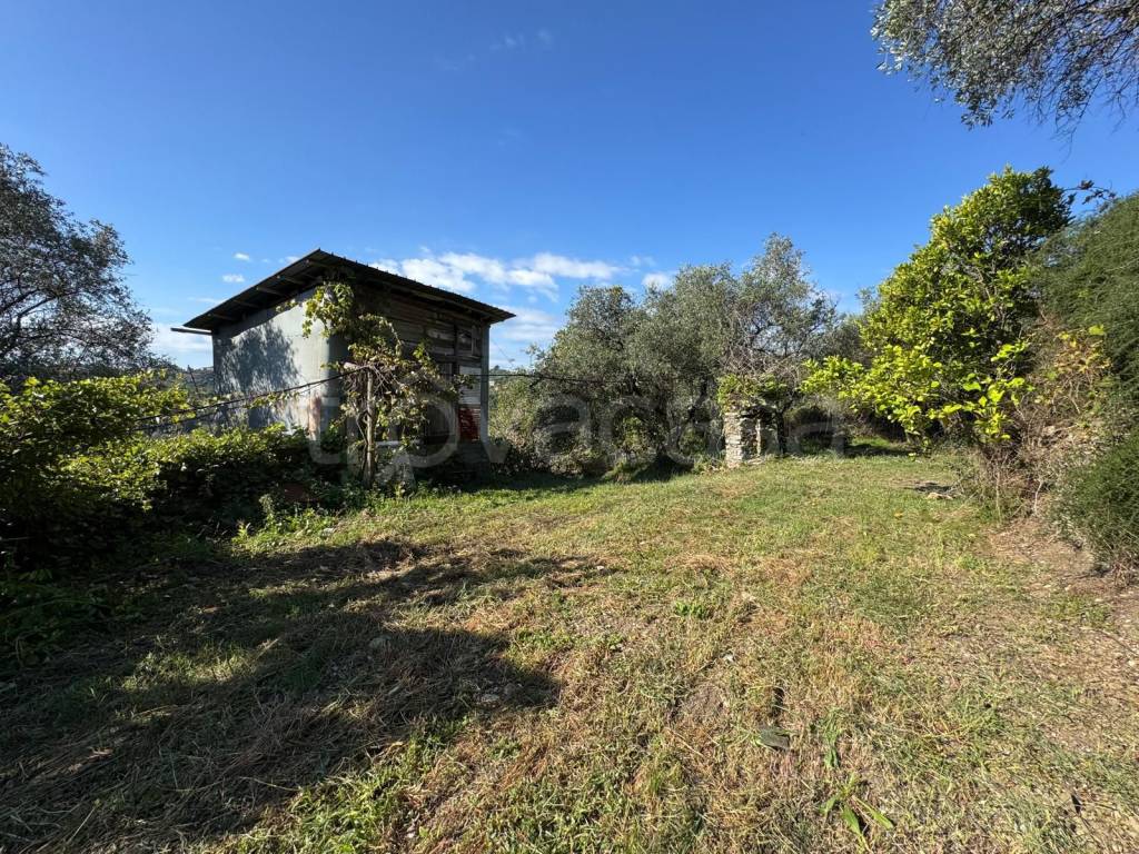 immagine annuncio 9 di 12