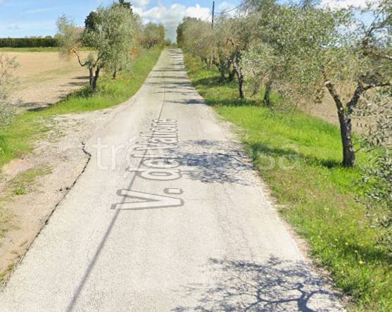 immagine annuncio 5 di 12