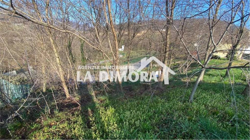 immagine annuncio 2 di 7