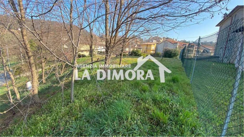 immagine annuncio 3 di 7