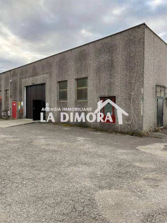 immagine annuncio 1 di 6