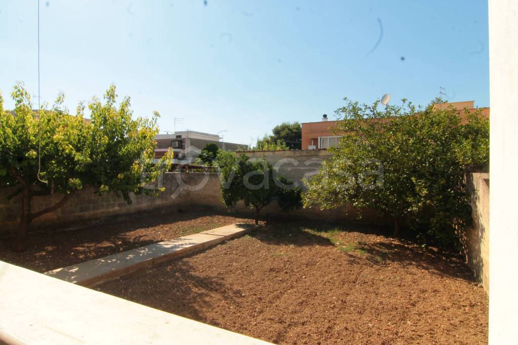 immagine annuncio 2 di 12