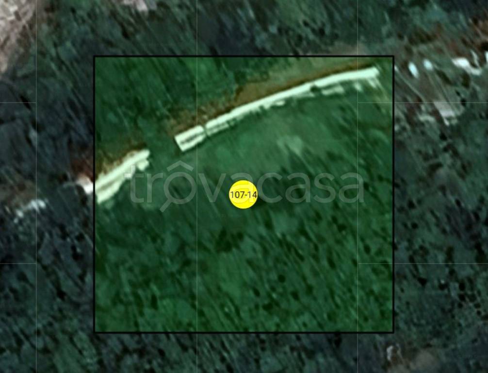 immagine annuncio 10 di 12