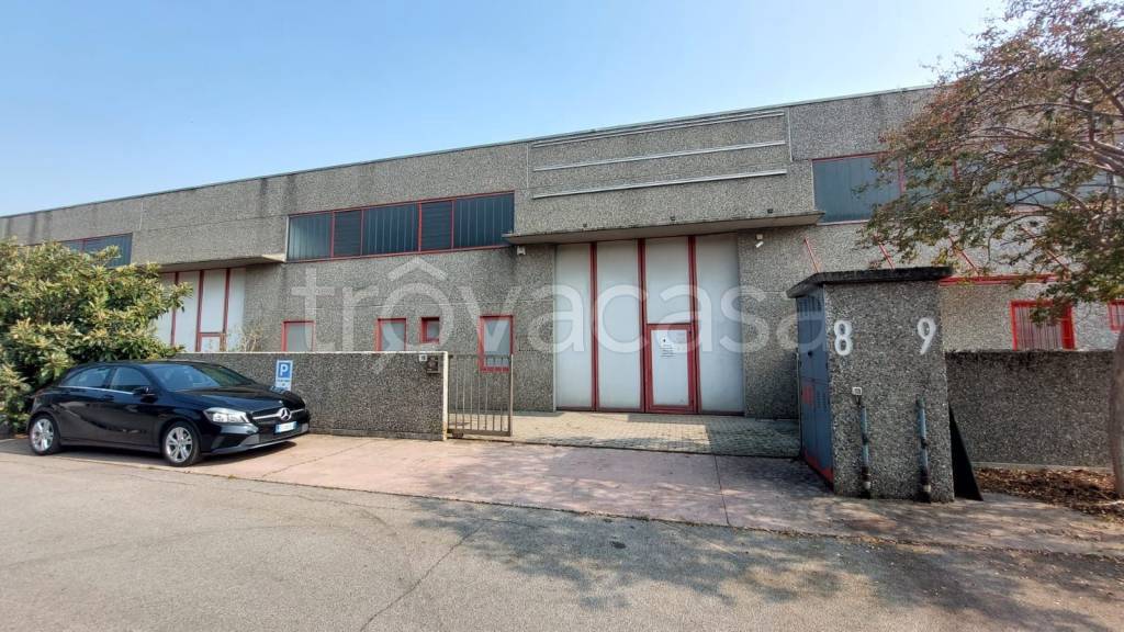 immagine annuncio 1 di 15