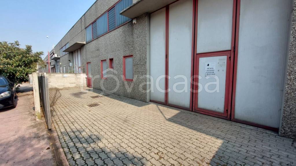 immagine annuncio 2 di 15