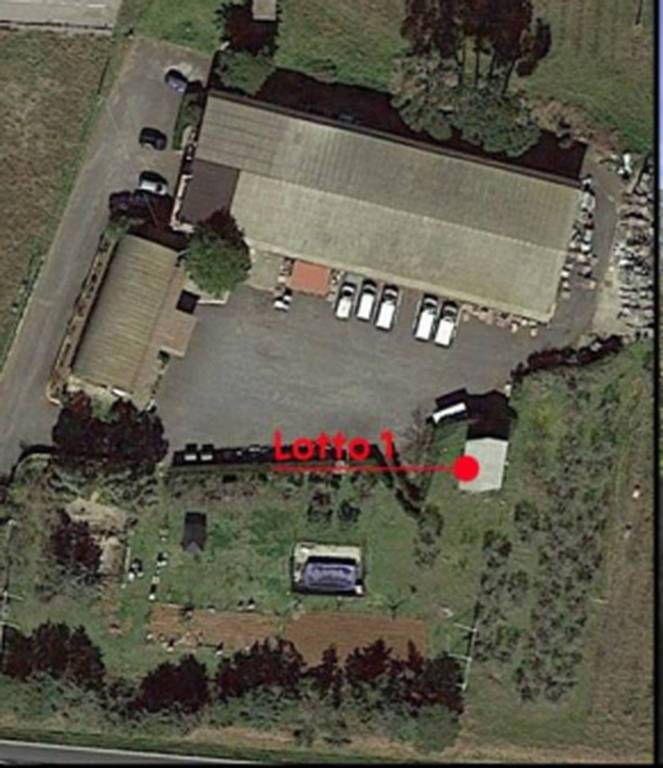 immagine annuncio 12 di 15