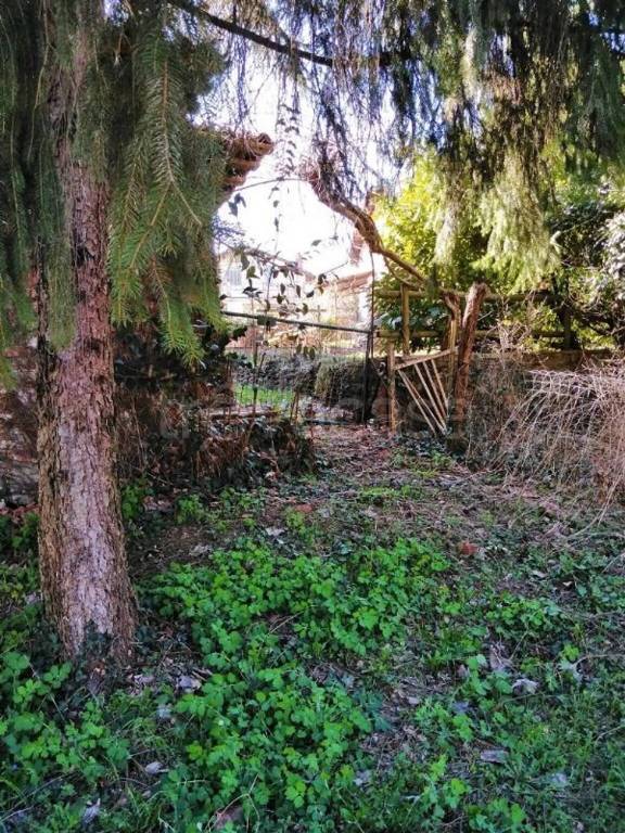 immagine annuncio 2 di 9