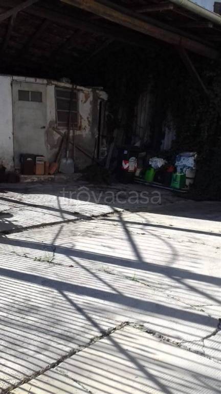 immagine annuncio 4 di 7