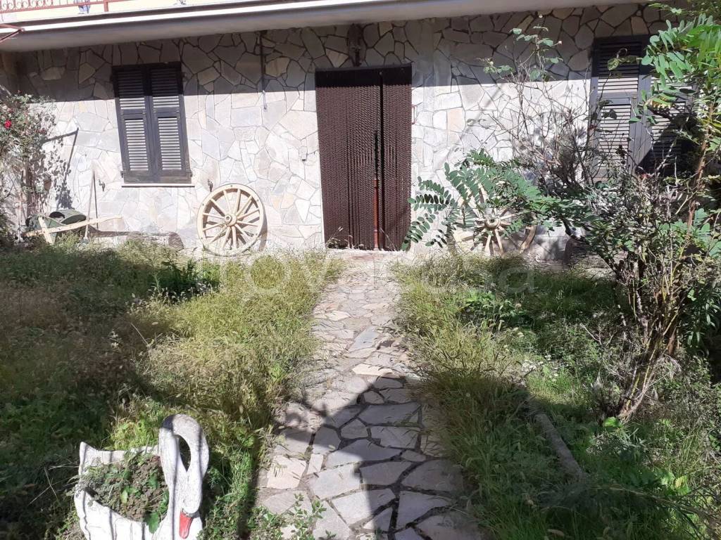 immagine annuncio 6 di 12