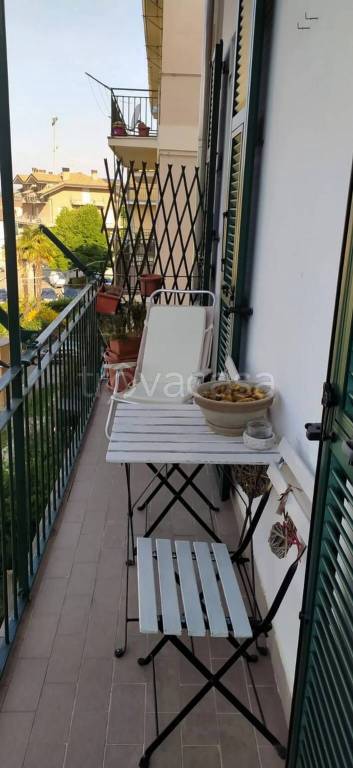 immagine annuncio 11 di 14