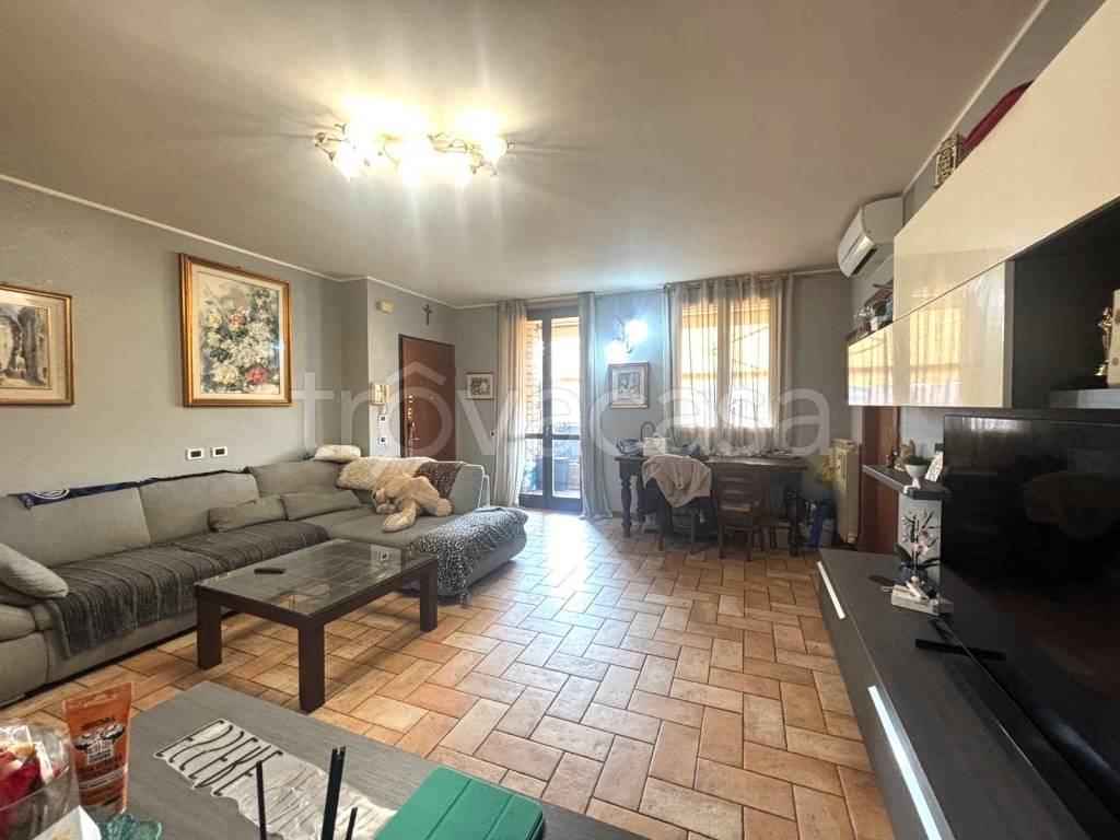 immagine annuncio 9 di 15