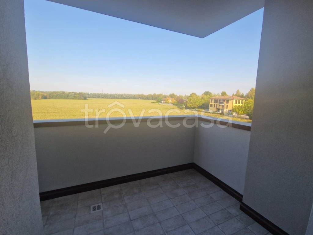 immagine annuncio 4 di 8