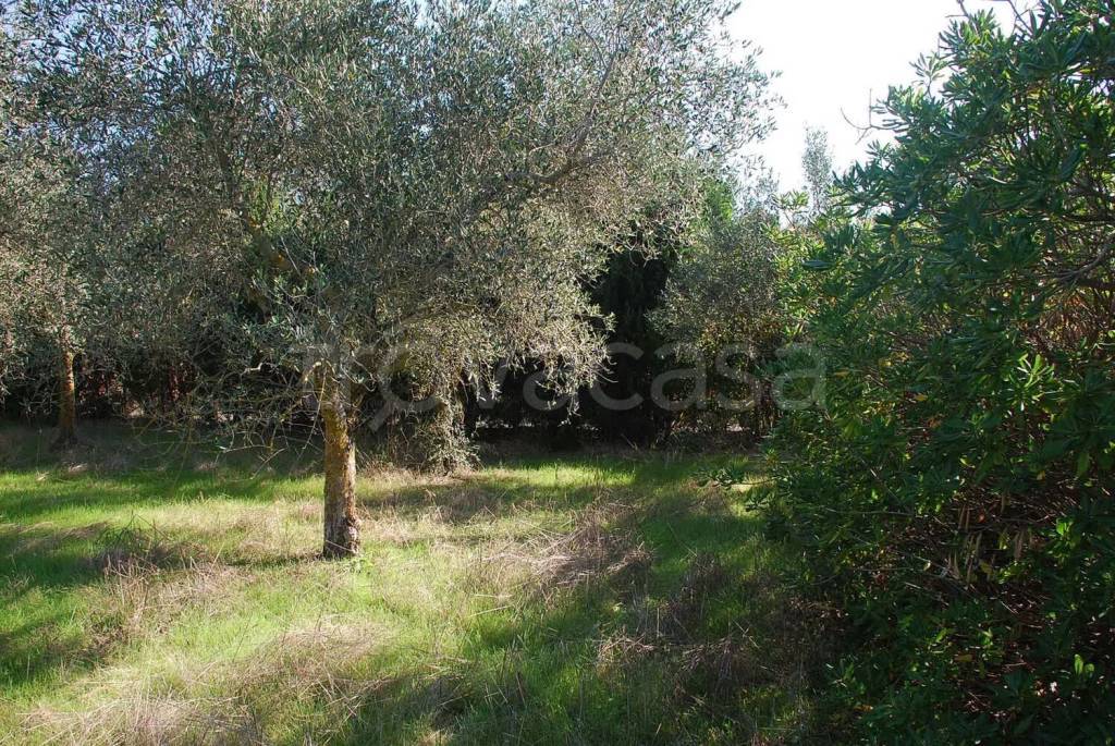 immagine annuncio 2 di 7