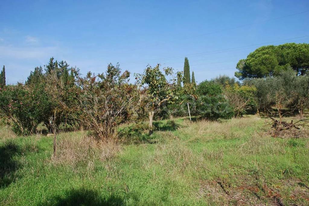 immagine annuncio 3 di 7