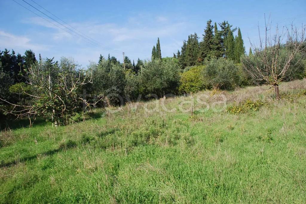 immagine annuncio 4 di 7