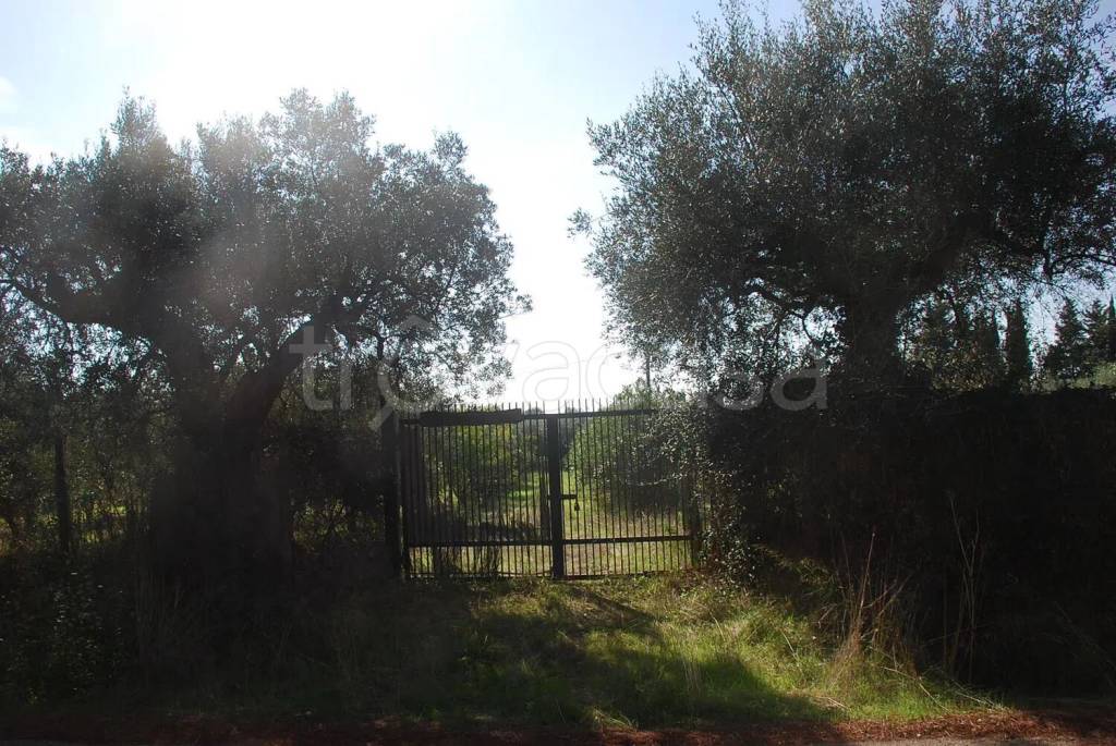 immagine annuncio 6 di 7