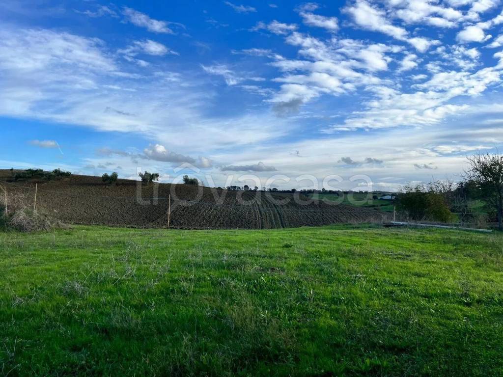 immagine annuncio 10 di 11