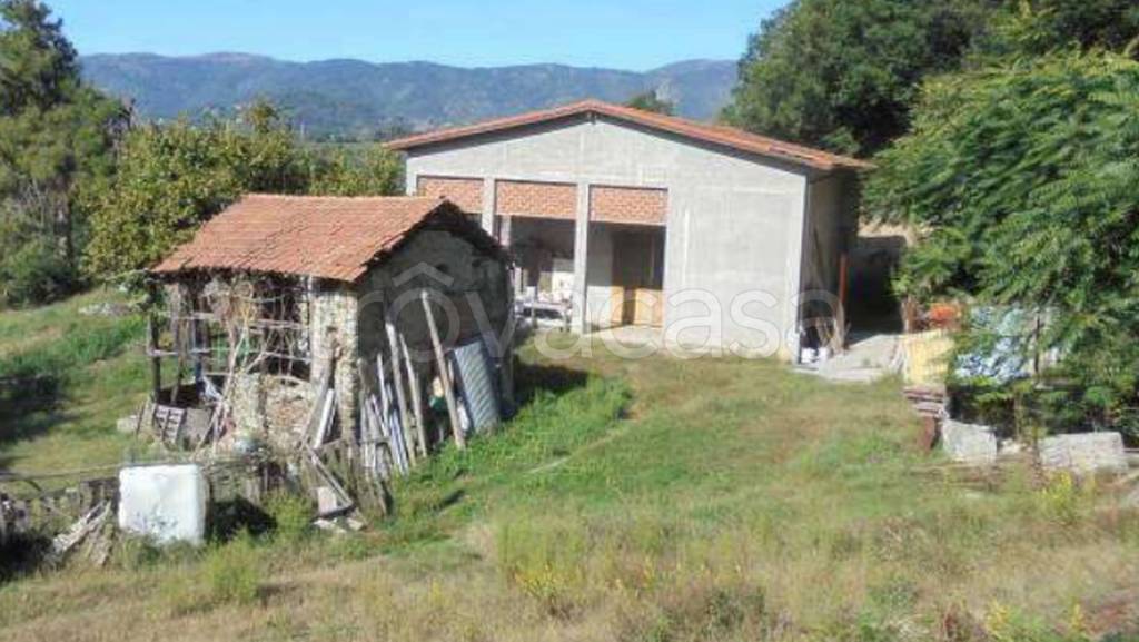 immagine annuncio 7 di 14