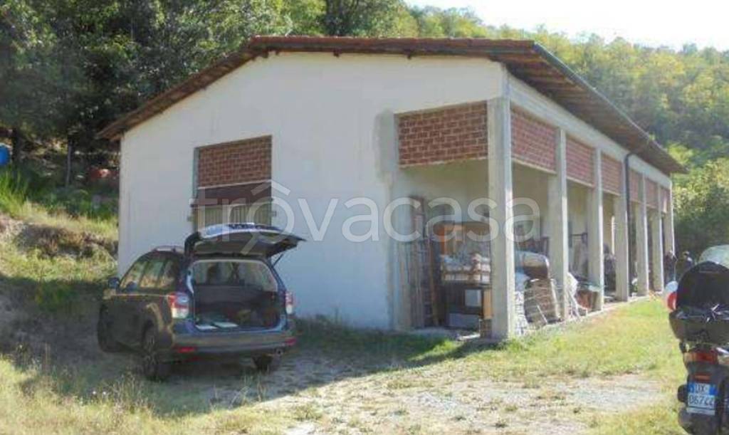 immagine annuncio 8 di 14