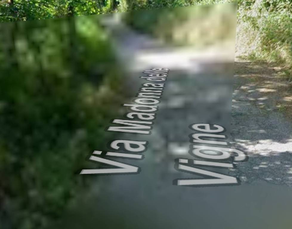 immagine annuncio 9 di 14