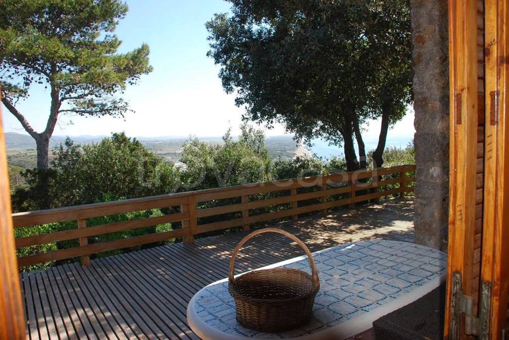 immagine annuncio 6 di 14