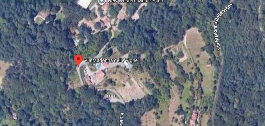 immagine annuncio 12 di 14