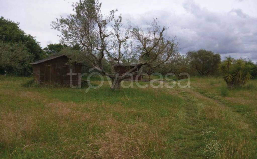 immagine annuncio 8 di 11