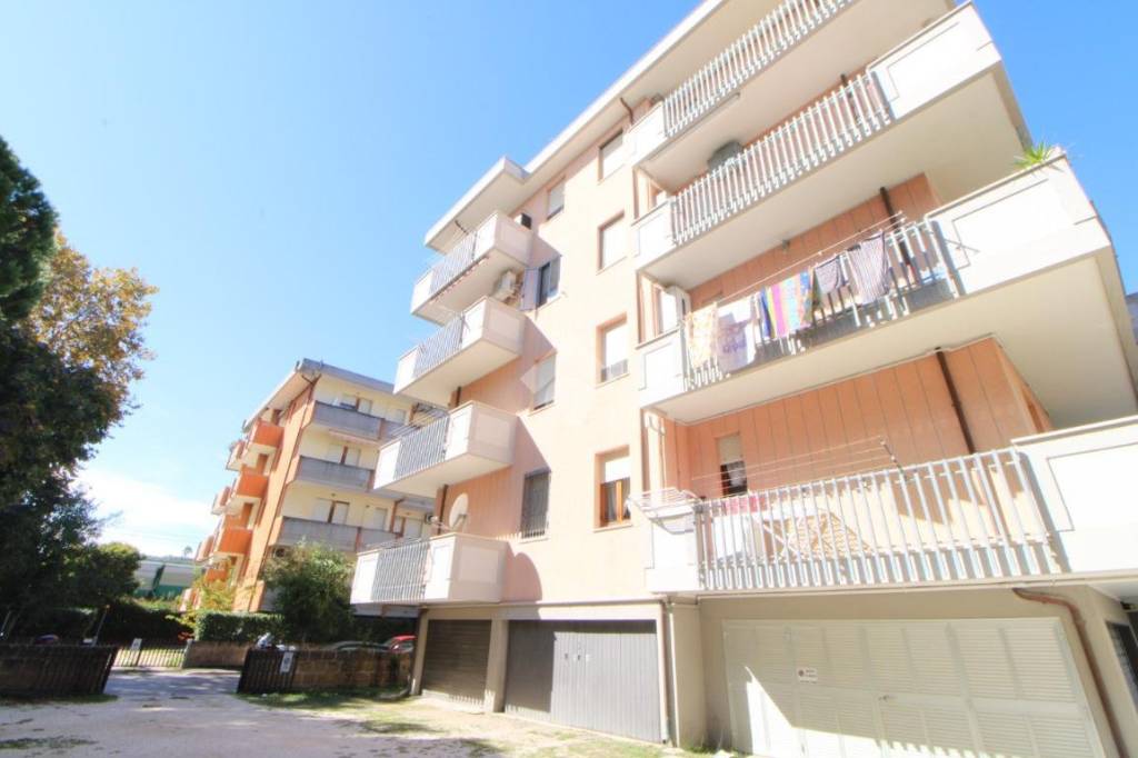 immagine annuncio 12 di 14