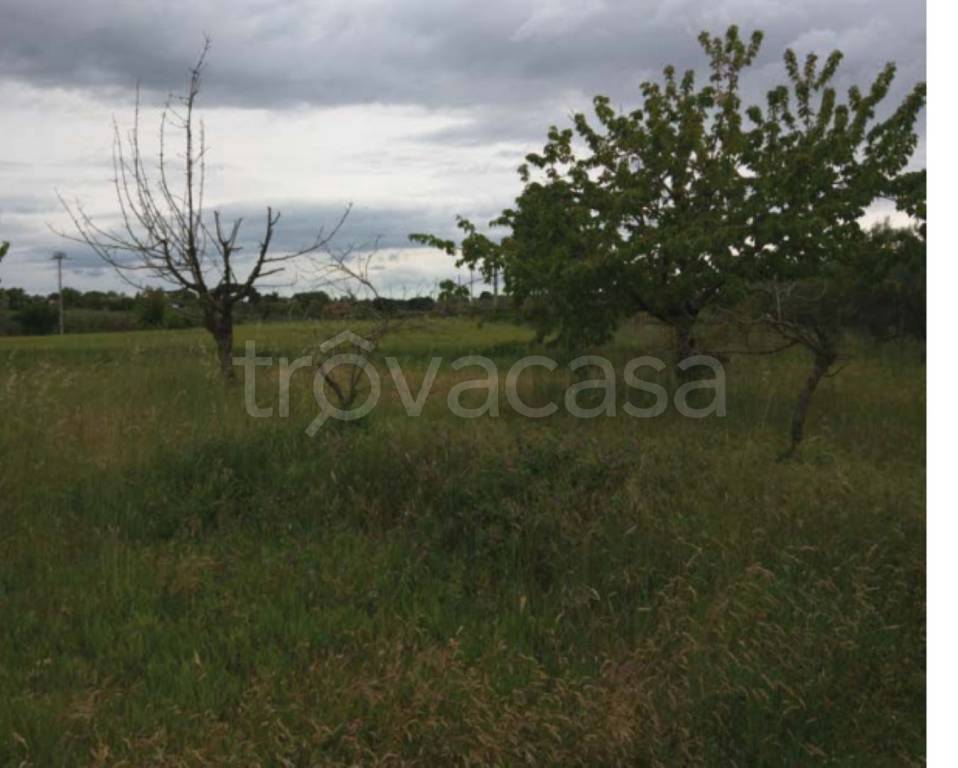 immagine annuncio 10 di 11