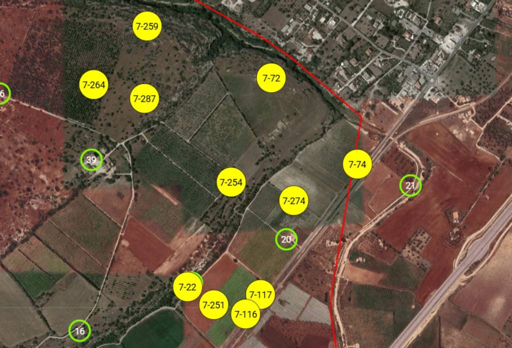 immagine annuncio 1 di 10