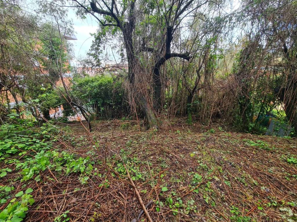 immagine annuncio 1 di 8